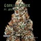 Gorilla Cookie (feat. Jefe-Rey) - Rj Full Range lyrics