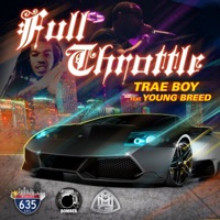 Full Throttle (feat. Young Breed) - Single - Trae Boy