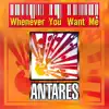 Whenever You Want Me
