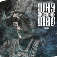 Why These N****s Mad (feat. Paid'will & Cashclickboog) - Single - Darri