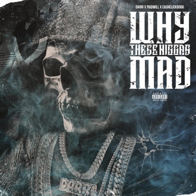 Why These Niggas Mad (feat. Paid'will & Cashclickboog) - Single