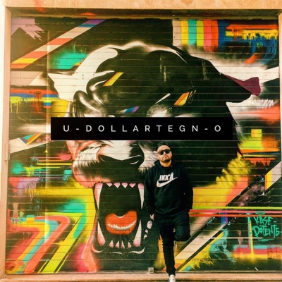 U-DOLLARTEGN-O - Single