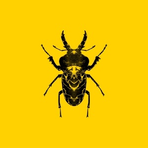 SECT