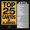 Top 25 Cantos de Alabanza - Various Artists