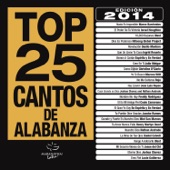Top 25 Cantos de Alabanza artwork