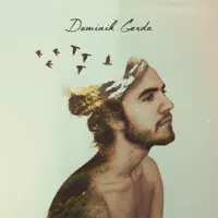 How Gorgeous You Are — Dominik Gerda