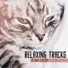 Pet Music Academy - Take Care