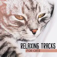 Take Care — Pet Music Academy
