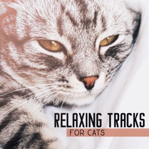 Relaxing Tracks for Cats: Gentle Sounds Only for Kittens Ears