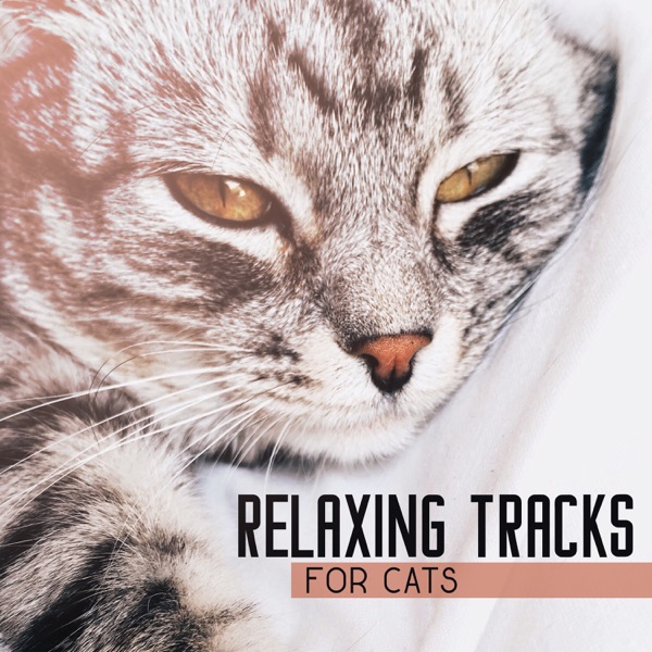 Relaxing Tracks for Cats: Gentle Sounds Only for Kittens Ears