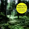Helge Lien Trio - Snurt