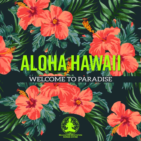 Aloha Hawaii - Welcome to Paradise, Summer Relaxation, Island Dreams, Deep Tropical Music