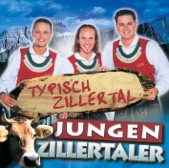 Die jungen Zillertaler - Ohne Musik geht nix