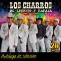 Como Tu Querer (como Tu Mujer)