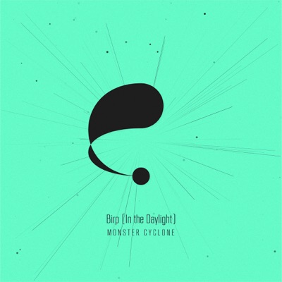 Birp (In the Daylight) - Single