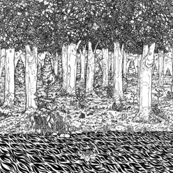 Through the Trees - EP - Family Of The Year