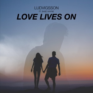 Love Lives on (feat. Babz Wayne) - Single