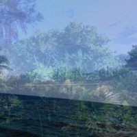 Bahama Palm - Single - OBIJUAN & Revenxnt