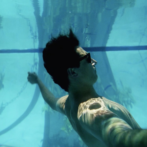 Cover artwork for The Video in the Pool