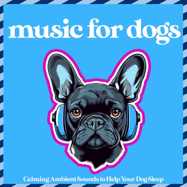 Music for Dogs (Calming Ambient Sounds to Help Your Dog Sleep)