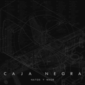 Caja Negra artwork