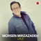 Lale - Mohsen Mirzazadeh lyrics