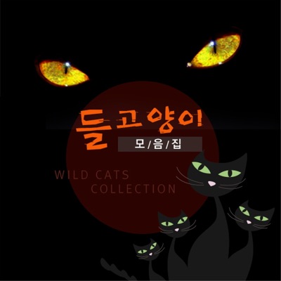 노래 가락 차차차-thumbnail