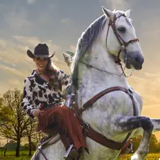 Diana Laura을(를) 듣고, 뮤직 비디오를 보고, 약력을 읽고, 투어 일정 등을 확인하세요!