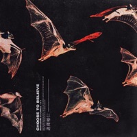 Choose To Believe (feat. TJ Carroll) - Single - BigGucciDame