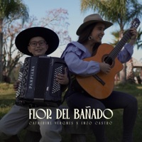 Flor del Bañado (feat. Catherine Vergnes) - Single - Enzo Castro