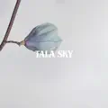 Night Sky