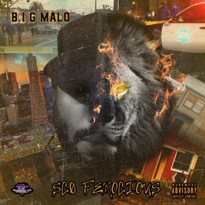 Run up a Check (feat. Malpractice)