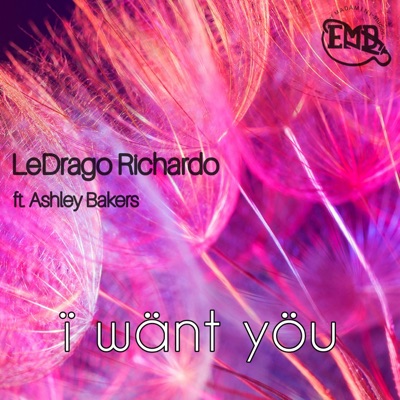 I want you (feat. LeDrago Richardo & Ashley Bakers) - Single