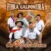 Os 4 Gaudérios - Fibra Galponeira