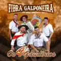 Os 4 Gauderios