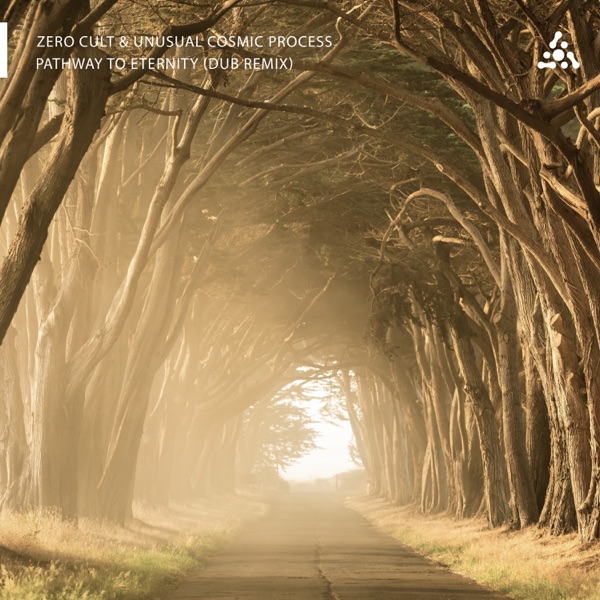 Pathway To Eternity (Dub Remix) - Single