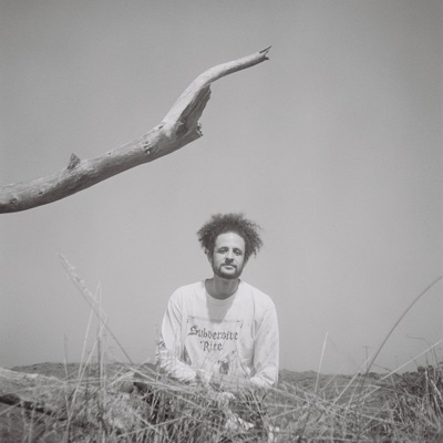 notes from the unemployment office - Single