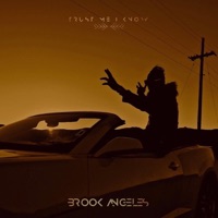 Trust Me I Know - Single - Brook Angeles