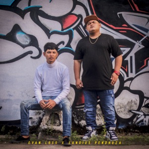 Dudu Anake DPR RI Album Art