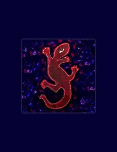 Listen to Nativa Geranio, watch music videos, read bio, see tour dates & more!