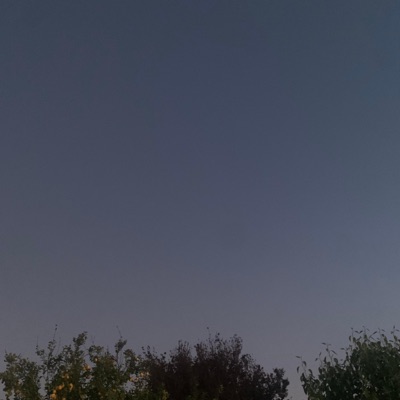 Losing My Mind - Single