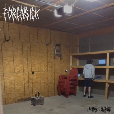 Lactose Tolerant - Single