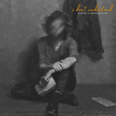 I Don't Understand - Single