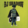 This Time (I'm Gonna Try It My Way) - DJ Shadow