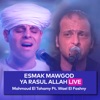 Esmak Mawgod Ya Rasul Allah (Live) [feat. Wael El Fashny] - Single