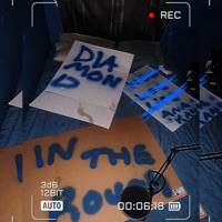 diamond in the rough (feat. Kanii) - Single - Cold Chris