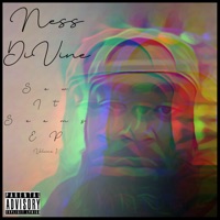 Sew It Seams Volume 1 - Single - Ness Divine
