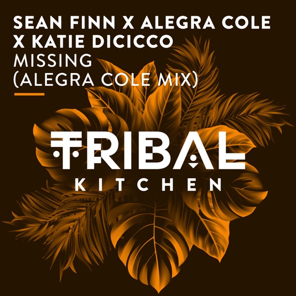 Missing (Alegra Cole Mix) - Single
