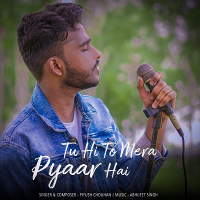 Tu Hi To Mera Pyaar Hai - Single