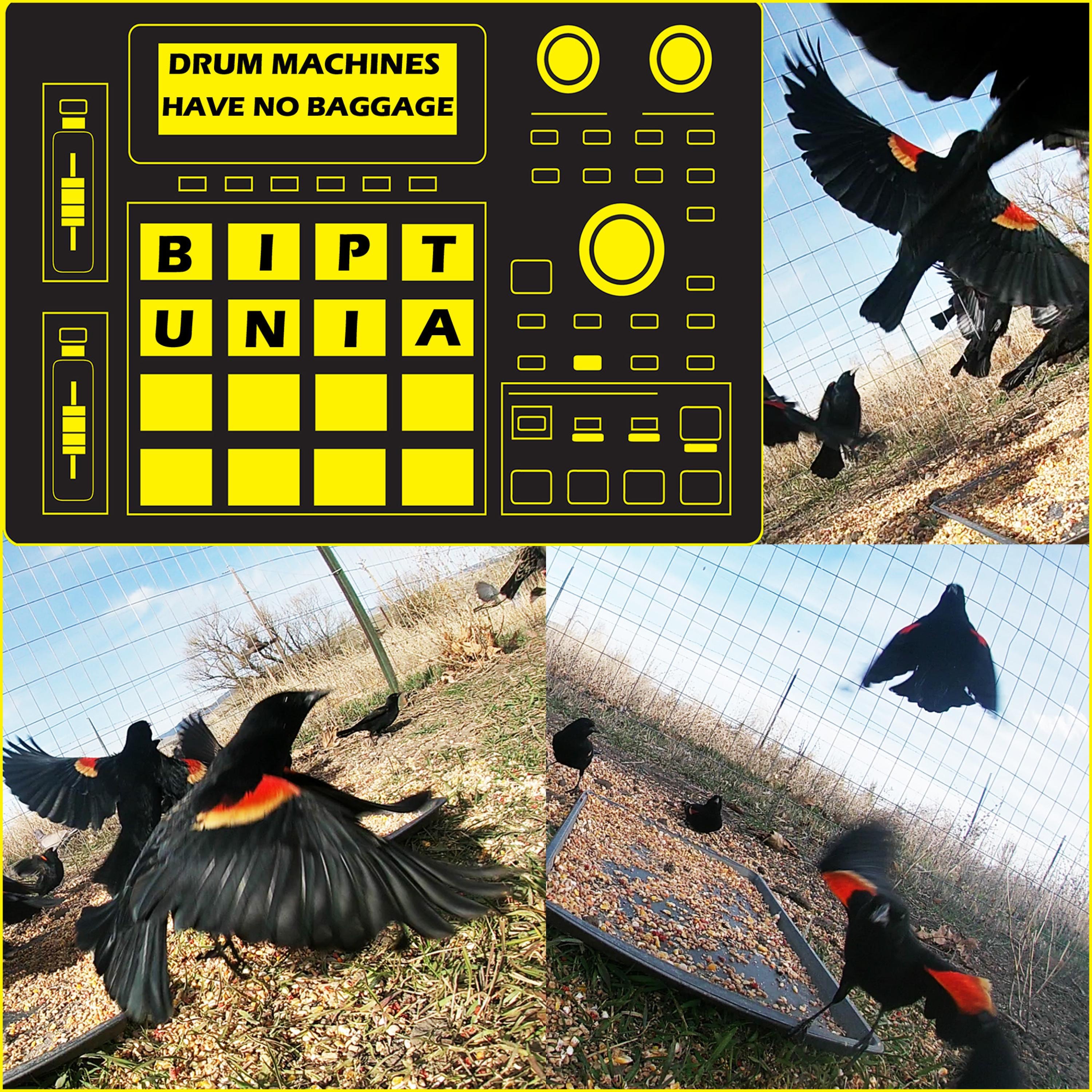 Drum Machines Have No Baggage